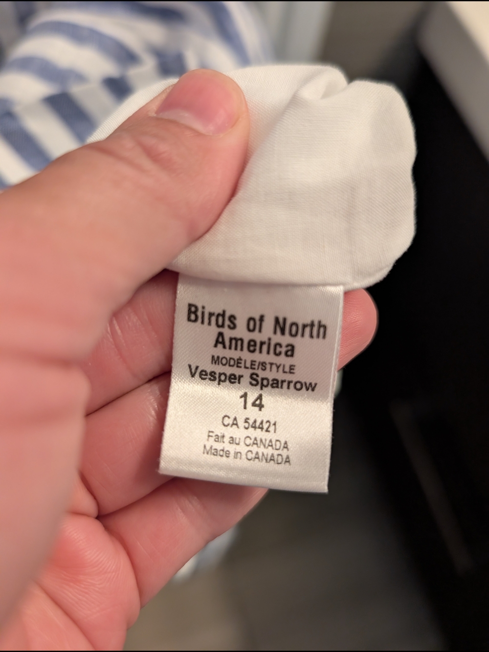 Birds of North America Vesper Sparrow Royal Stripe Button-Front Dress - Picture 6 of 7